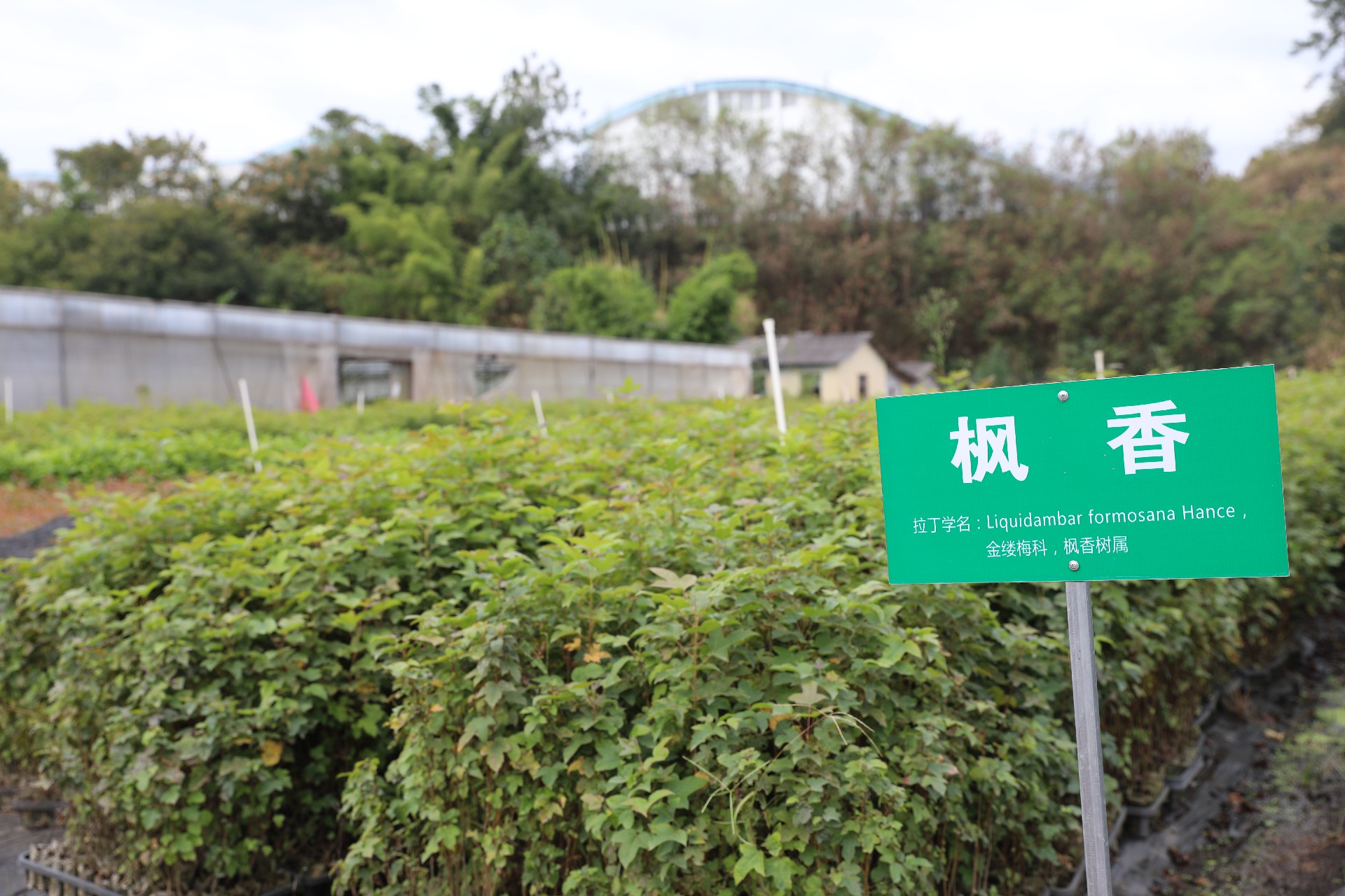 1669273235197059.png 微信图片_20221212152413.jpg