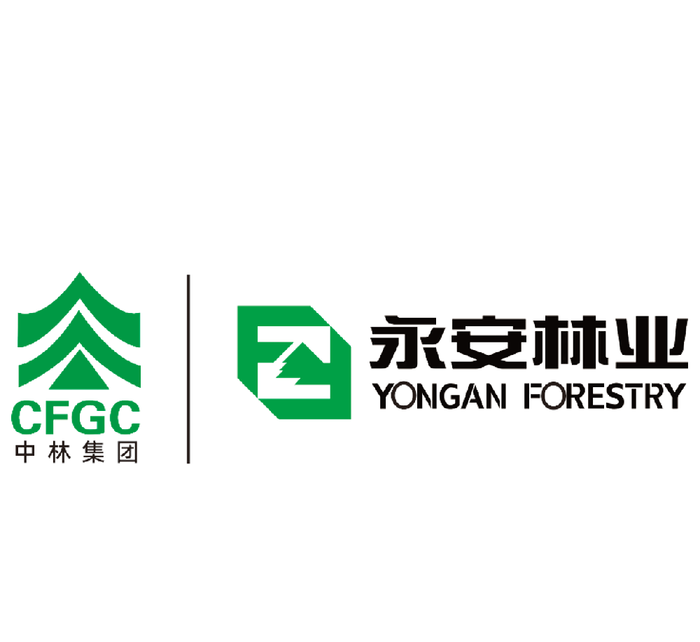 赢多多简介