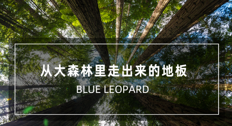 赢多多(中国区)官网 -手机版APP下载站