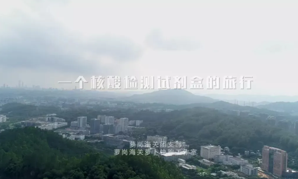 PP电子(中国集团)有限公司官网