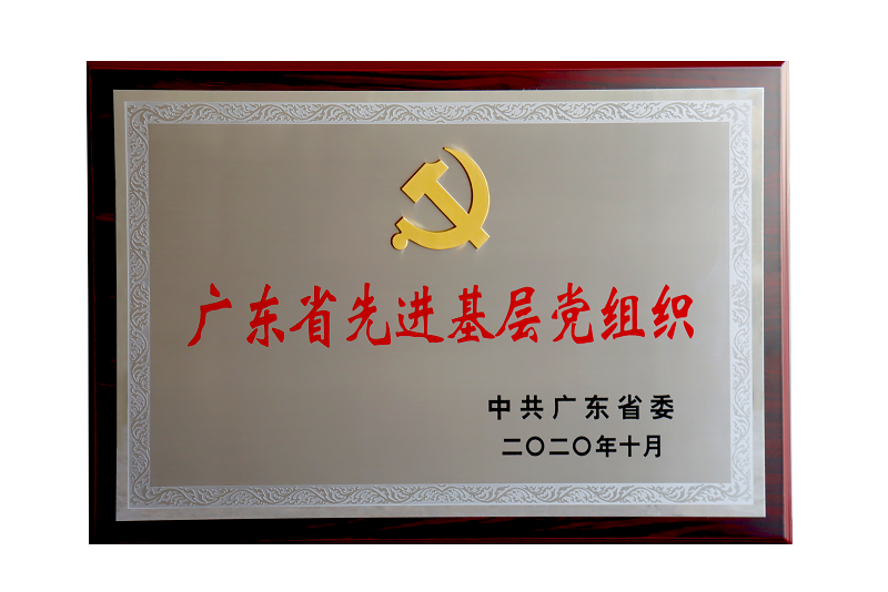 PP电子(中国集团)有限公司官网
