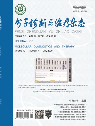PP电子(中国集团)有限公司官网