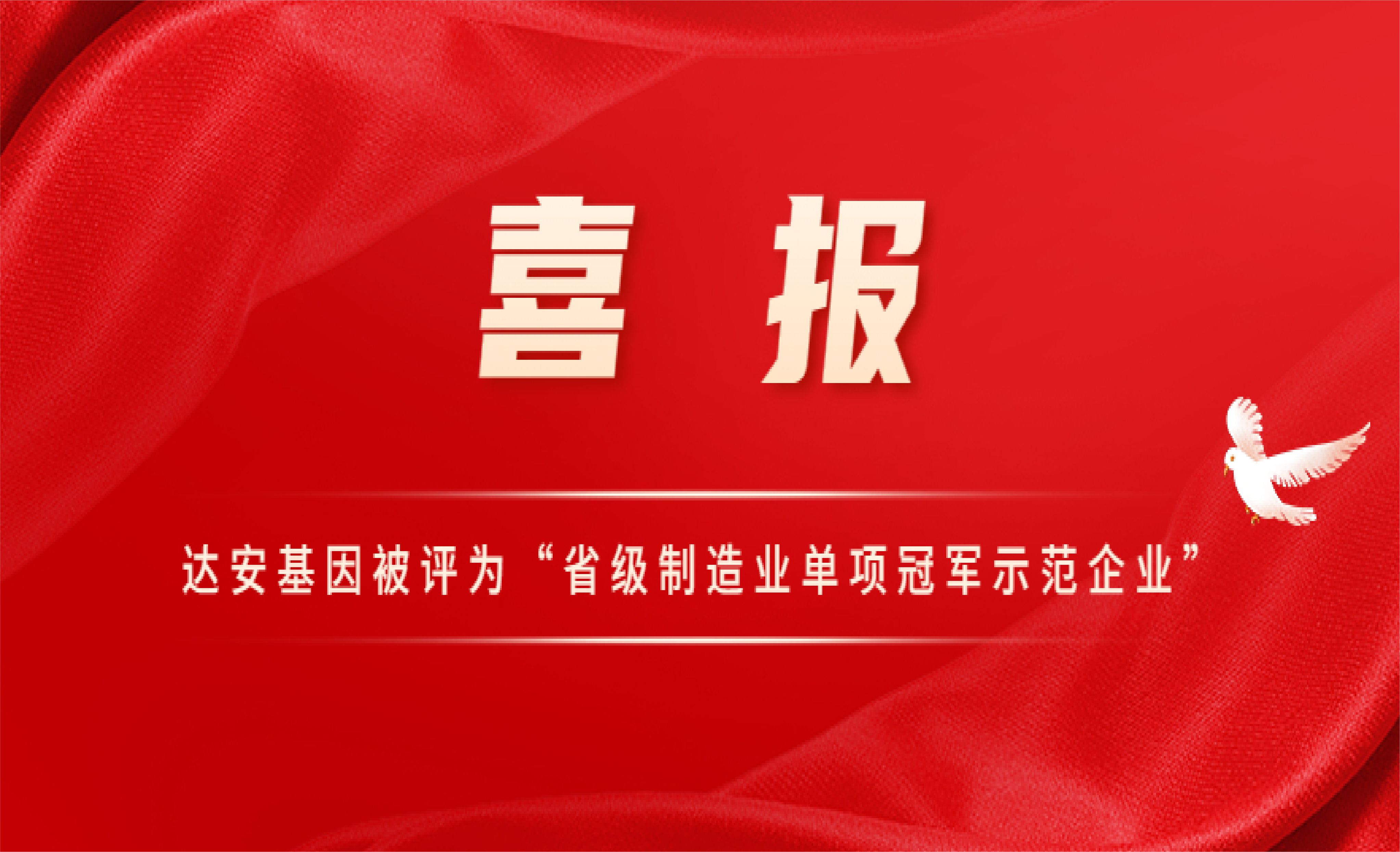 PP电子(中国集团)有限公司官网