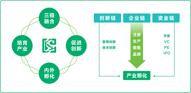 pp电子式孵化