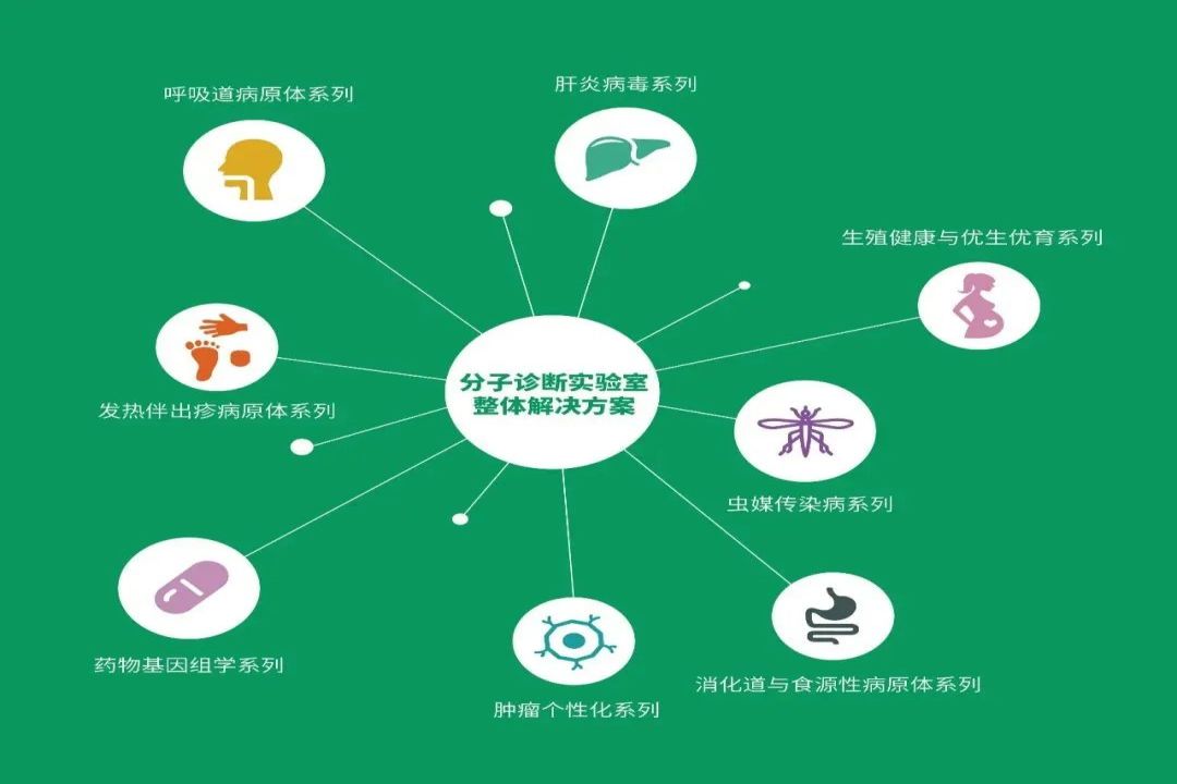 PP电子(中国集团)有限公司官网