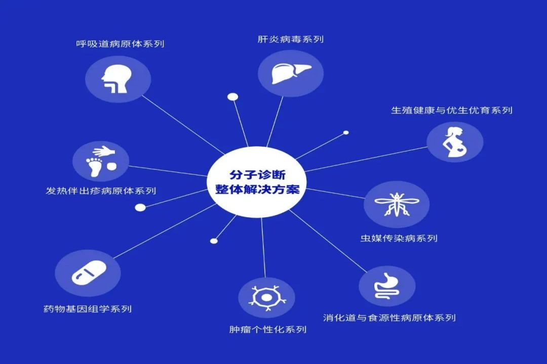 PP电子(中国集团)有限公司官网