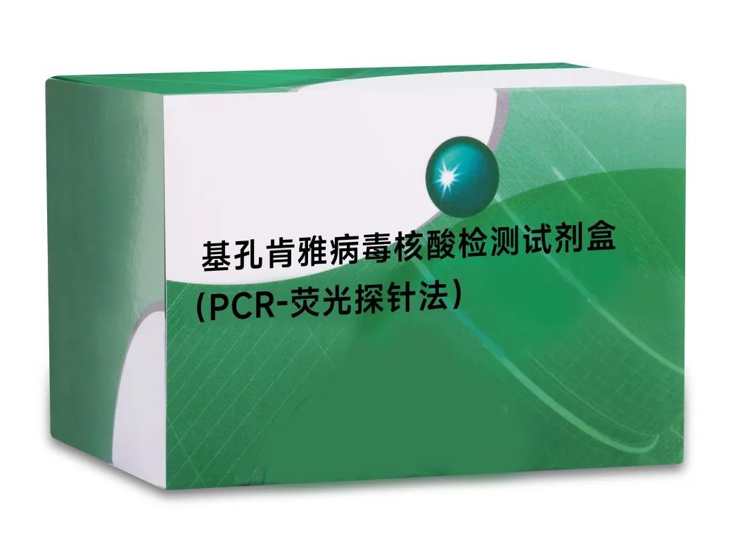 PP电子(中国集团)有限公司官网
