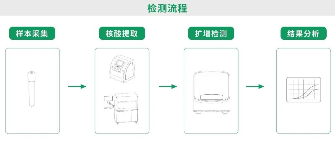 PP电子(中国集团)有限公司官网